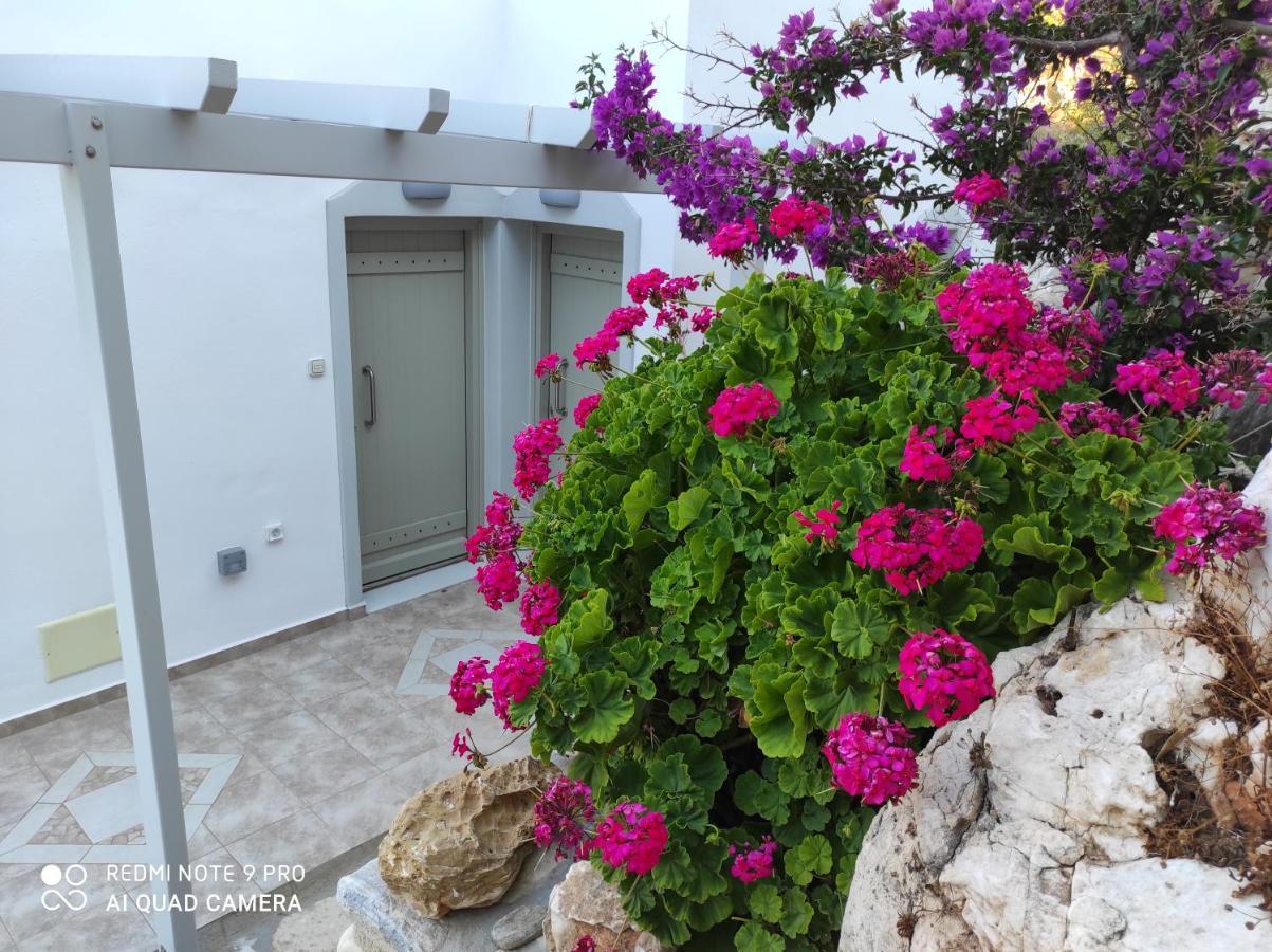 Villa Delfinaki Lionas Екстер'єр фото